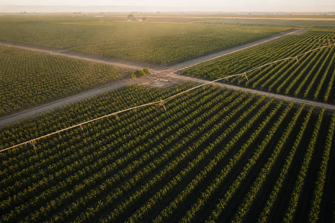 An aerial view of a vast agricultural field with long rows of crops divided by dirt roads and crossed by irrigation systems.