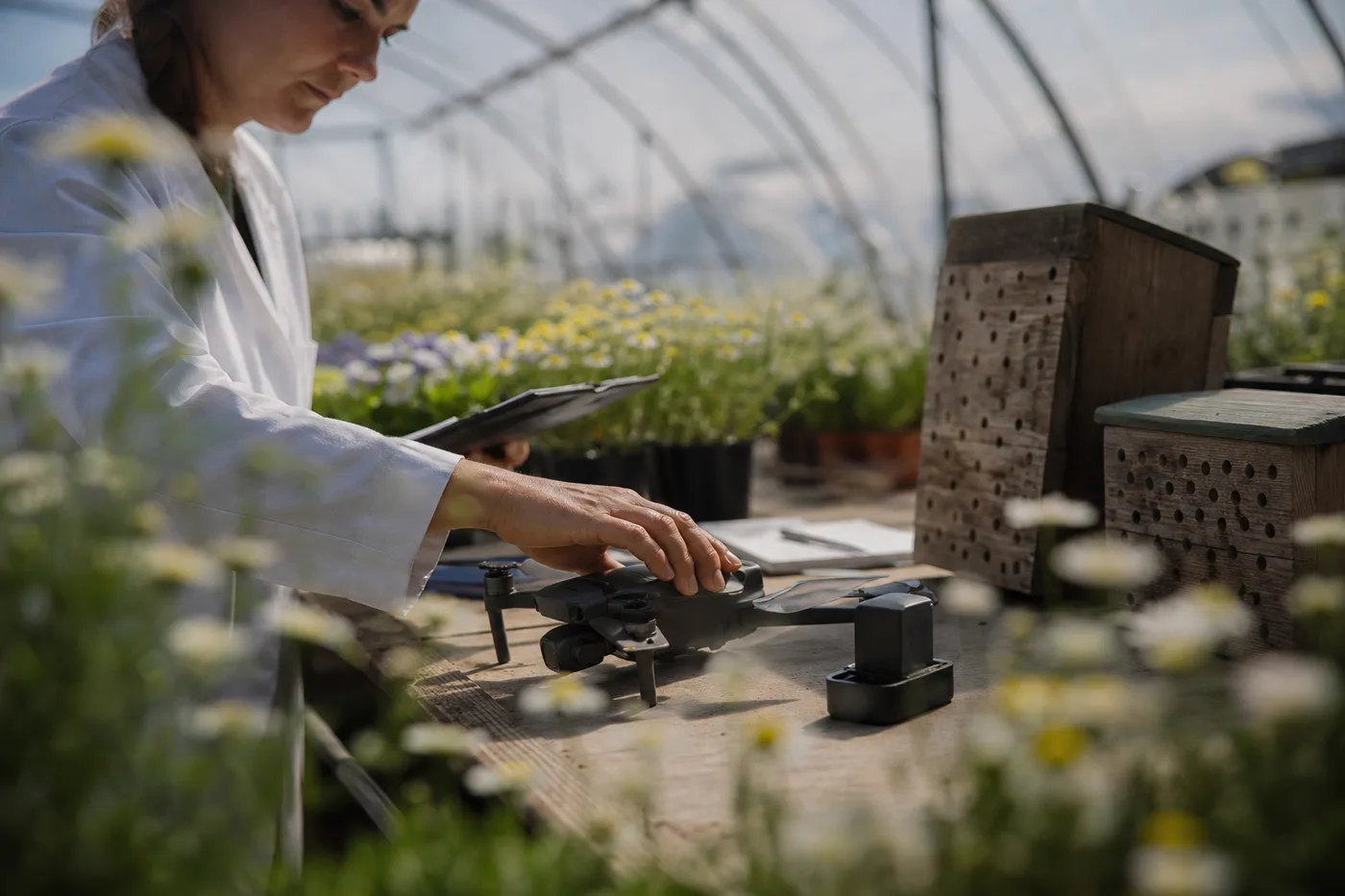 A person in a white lab coat touches a drone resting on a wooden table inside a greenhouse.